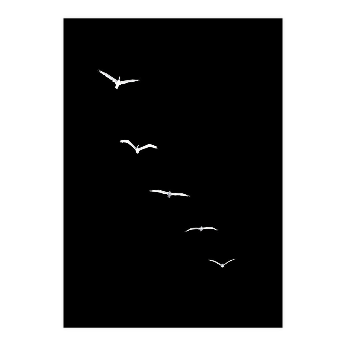 Heavenly Creatures Dark (Print Only)