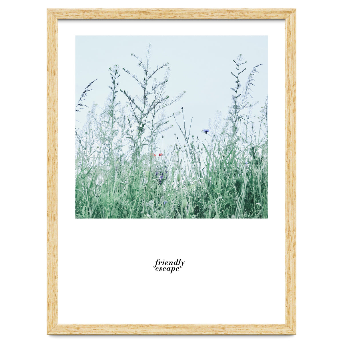 Friendly escape - Nature Photography -