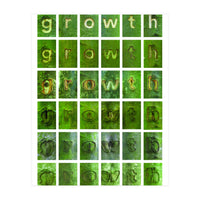 growth (Print Only)
