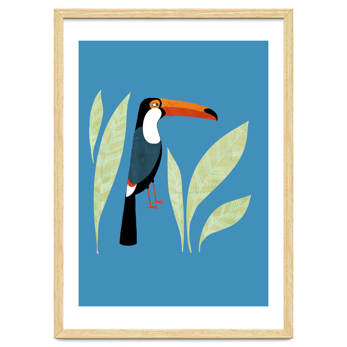 Toucan