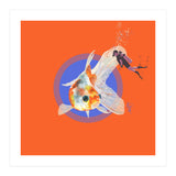 Koi Carp N Diver (Print Only) thumbnail