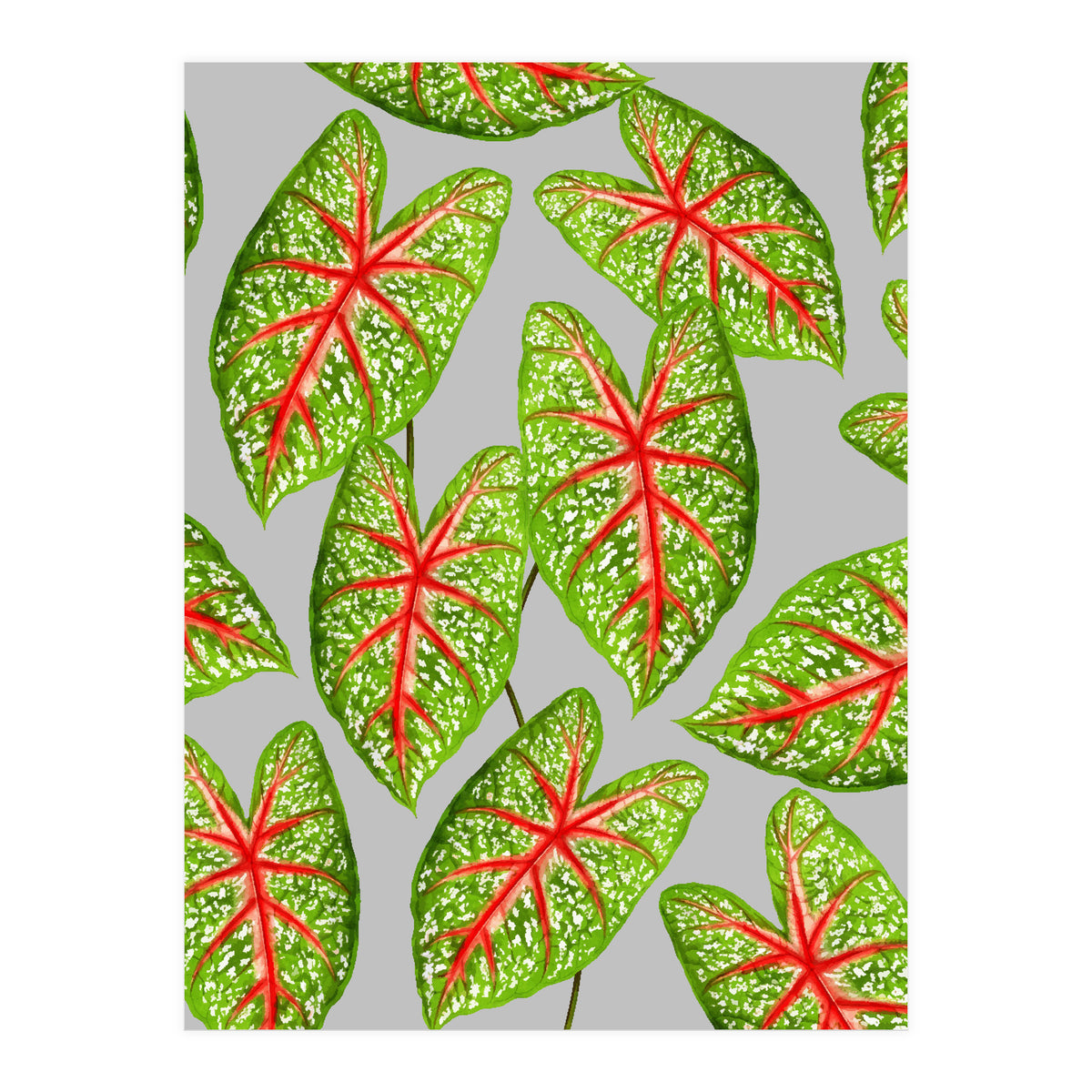 Expression Of Peace (Print Only)