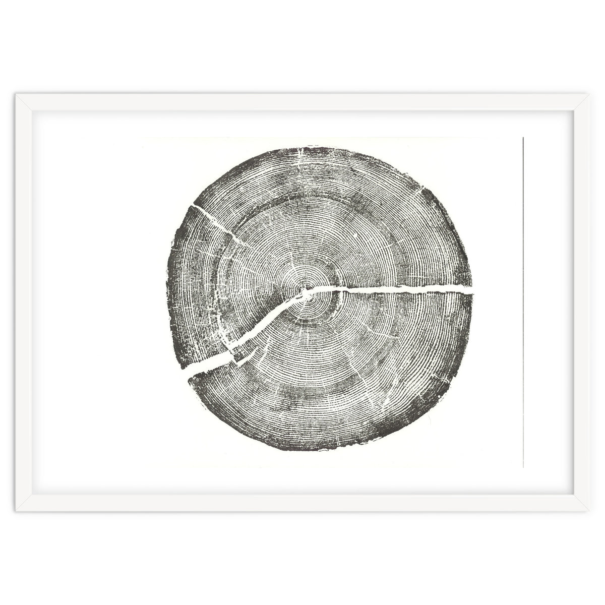 Rock Canyon, Tree Ring Print, Woodblock