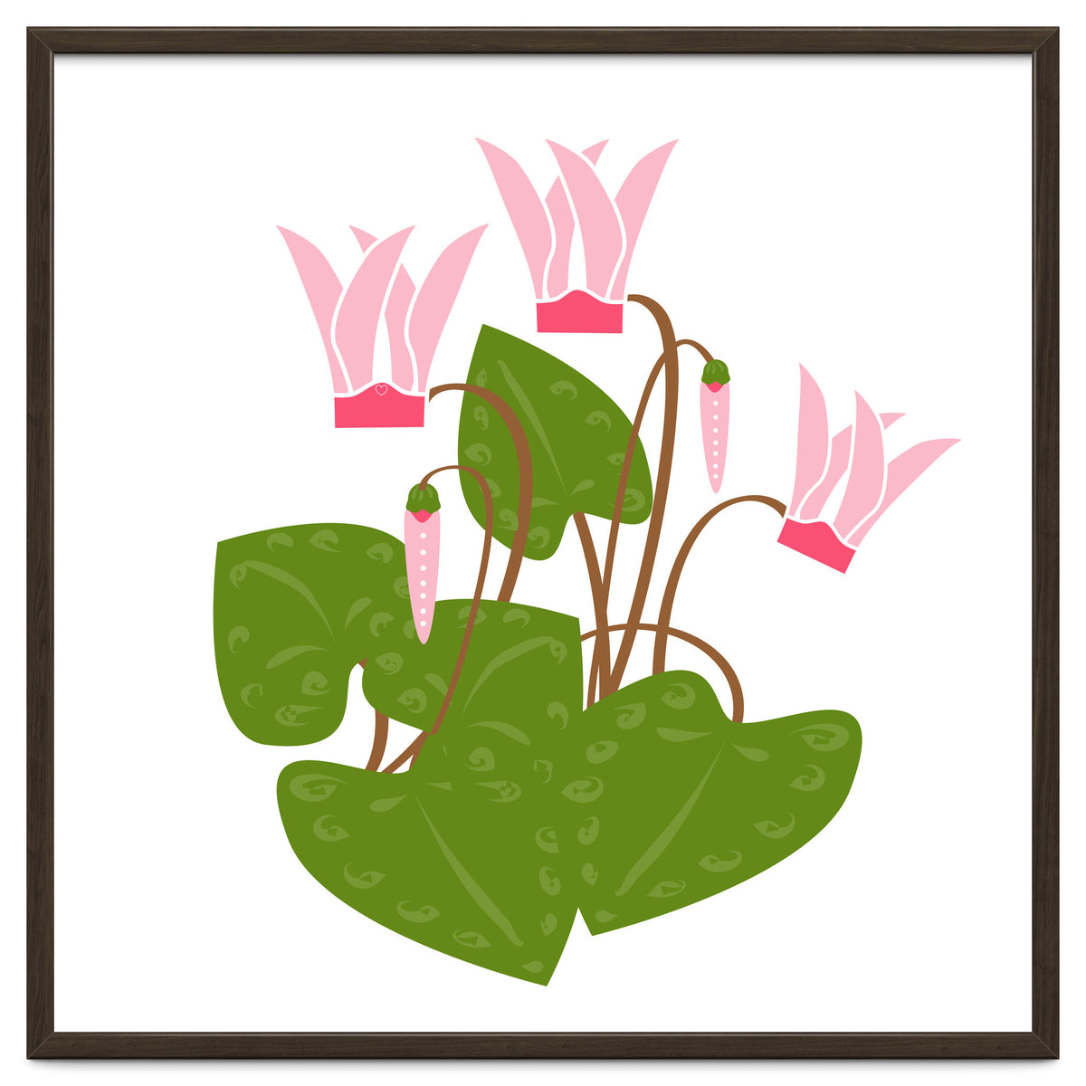 Cascading Cyclamen