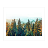 Pine Beauty (Print Only) thumbnail