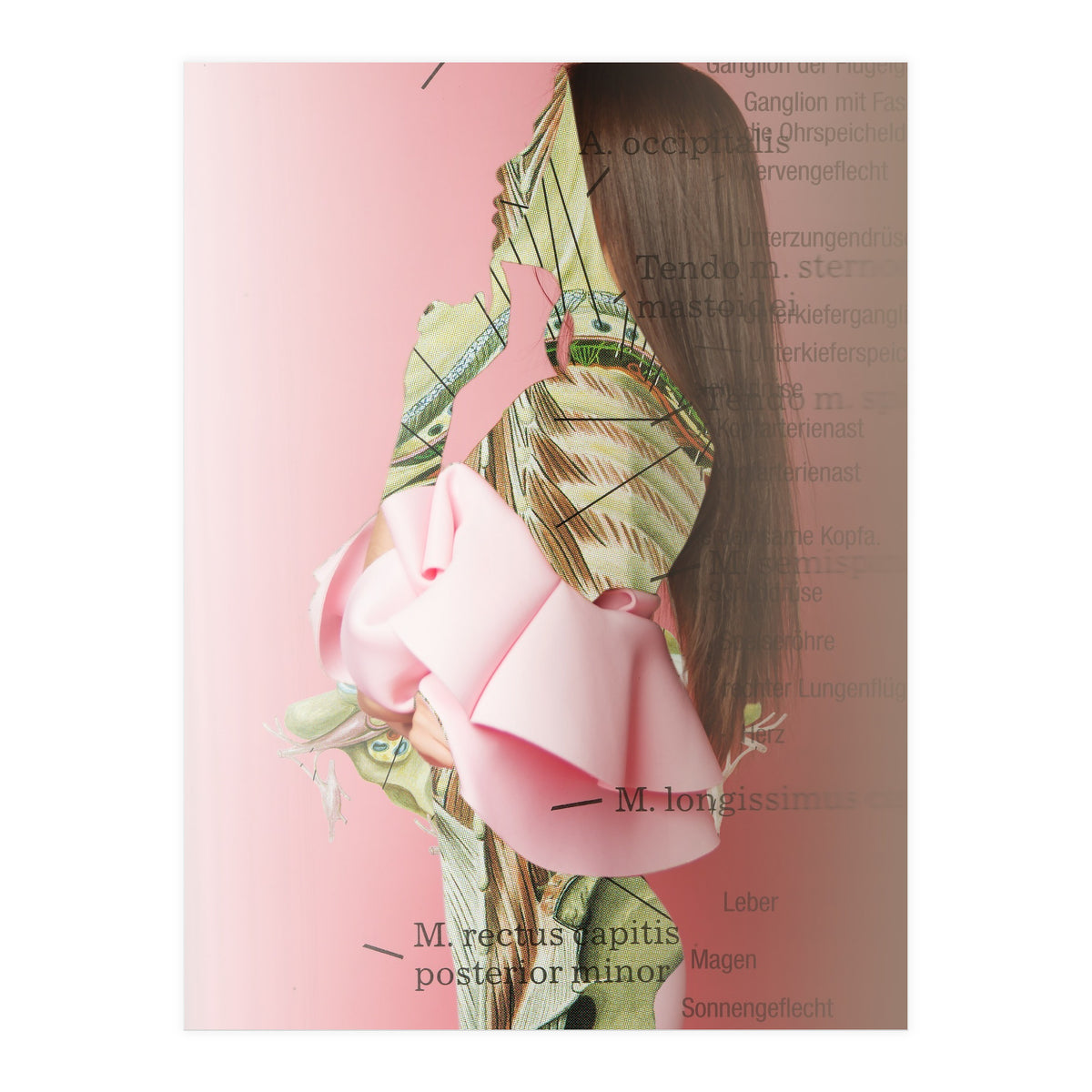 Crazy Woman 201 (Print Only)