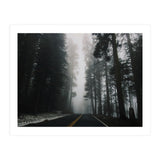 Foggy Yosemite (Print Only) thumbnail