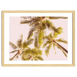 Blush Pink Boho Palm Trees thumbnail