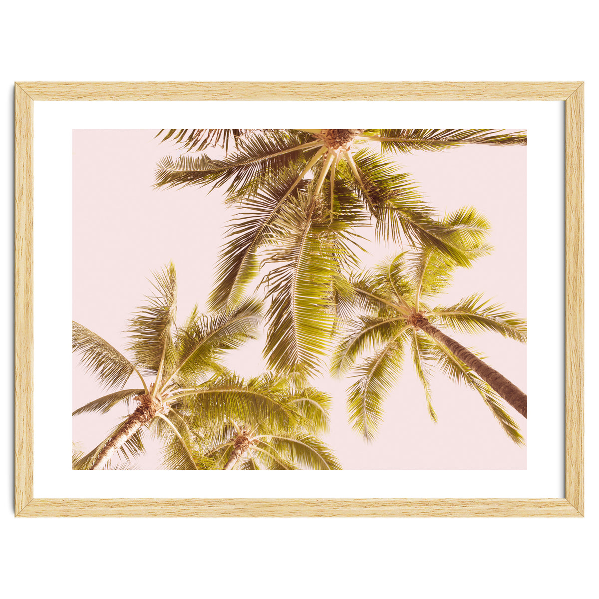 Blush Pink Boho Palm Trees