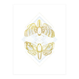 Polillas - Gold (Print Only) thumbnail