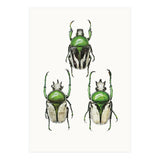 Cc Insects 04 (Print Only) thumbnail