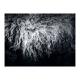 the sheep (Print Only) thumbnail