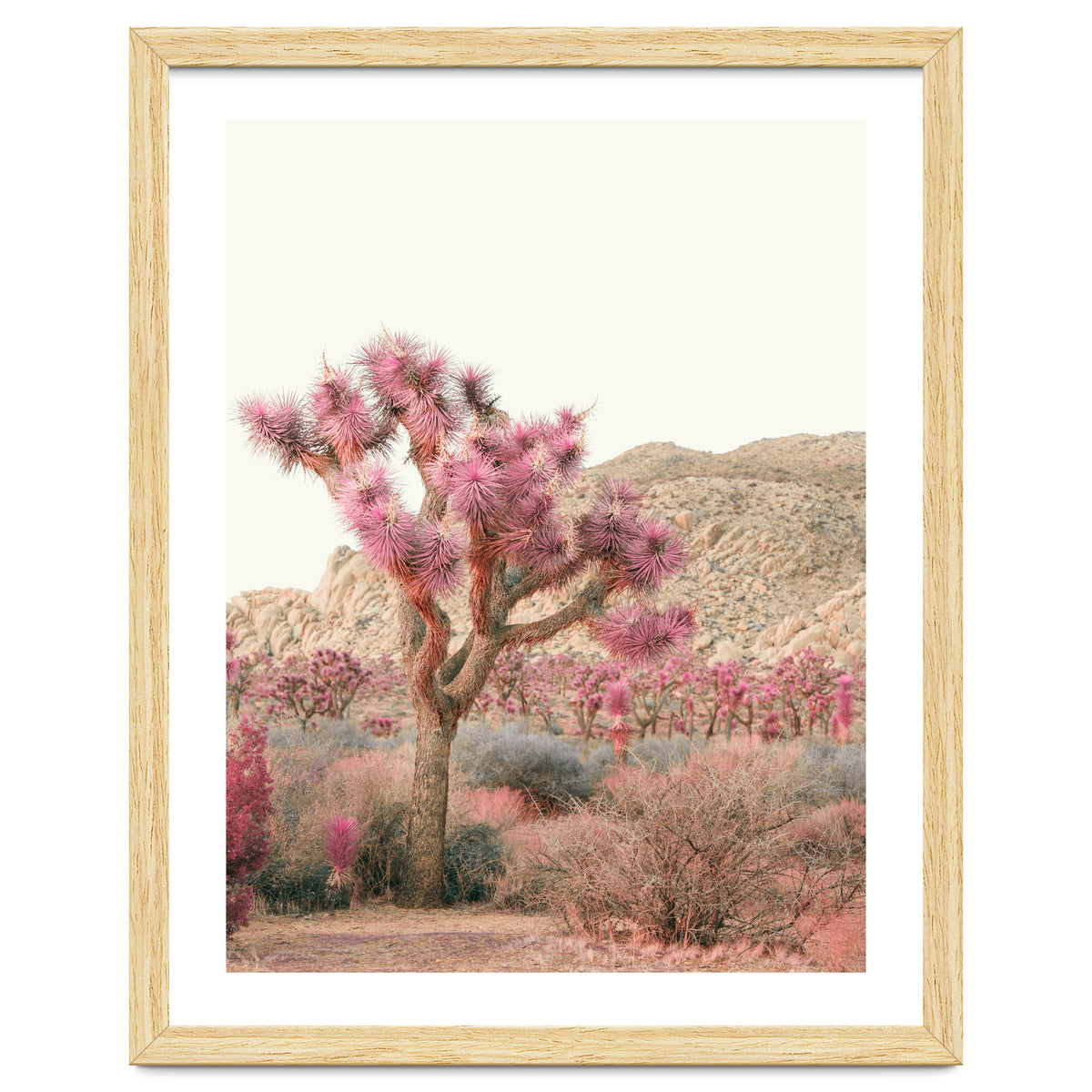 Boho Joshua Tree Cactus