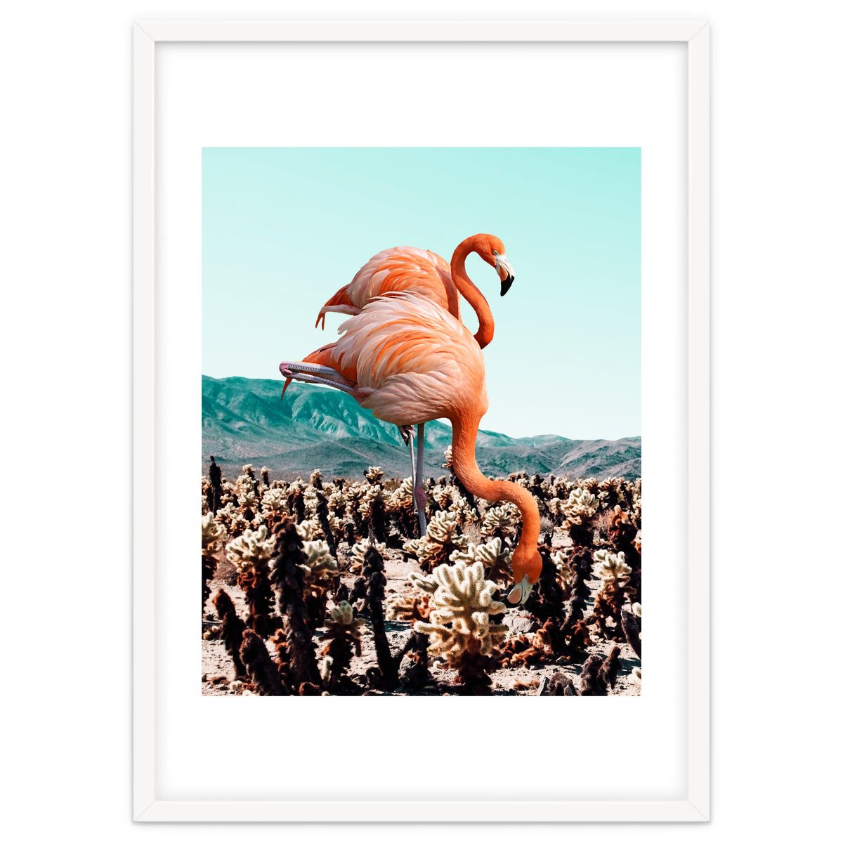 Flamingos In The Desert