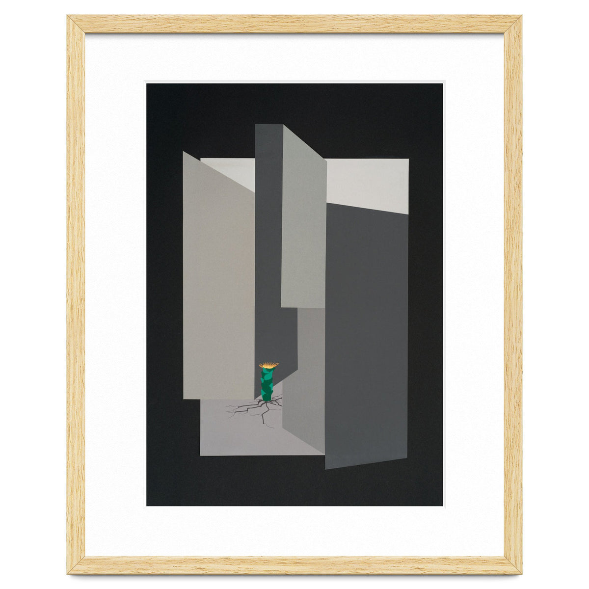 Small flower in concrete landscape.