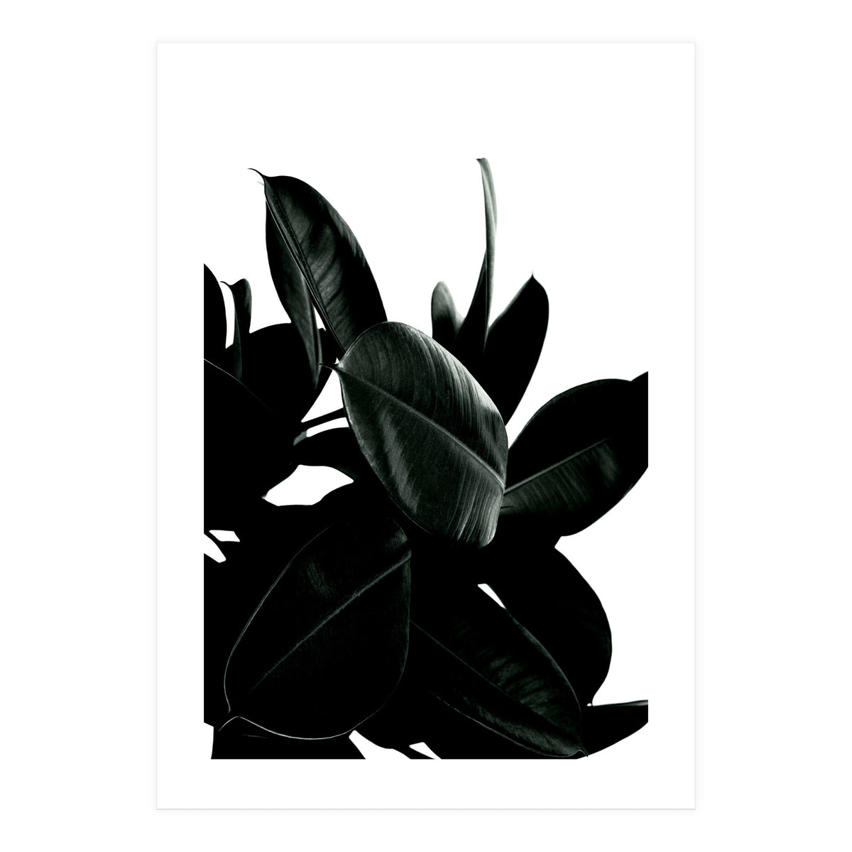 Dark Tree (Print Only)