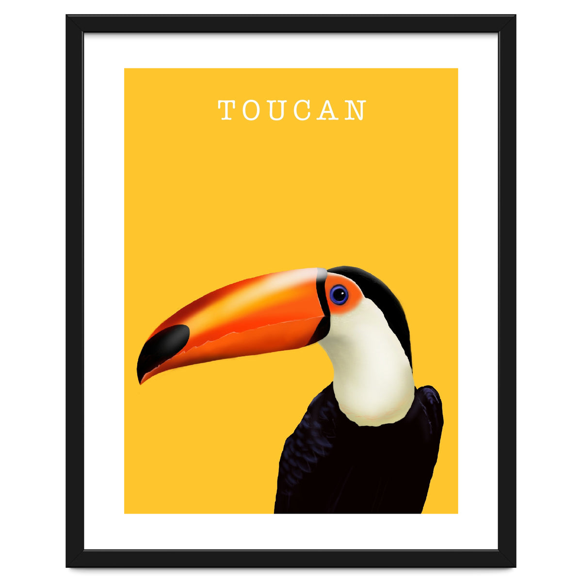 Toucan
