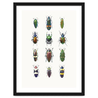 Cc Insects 03