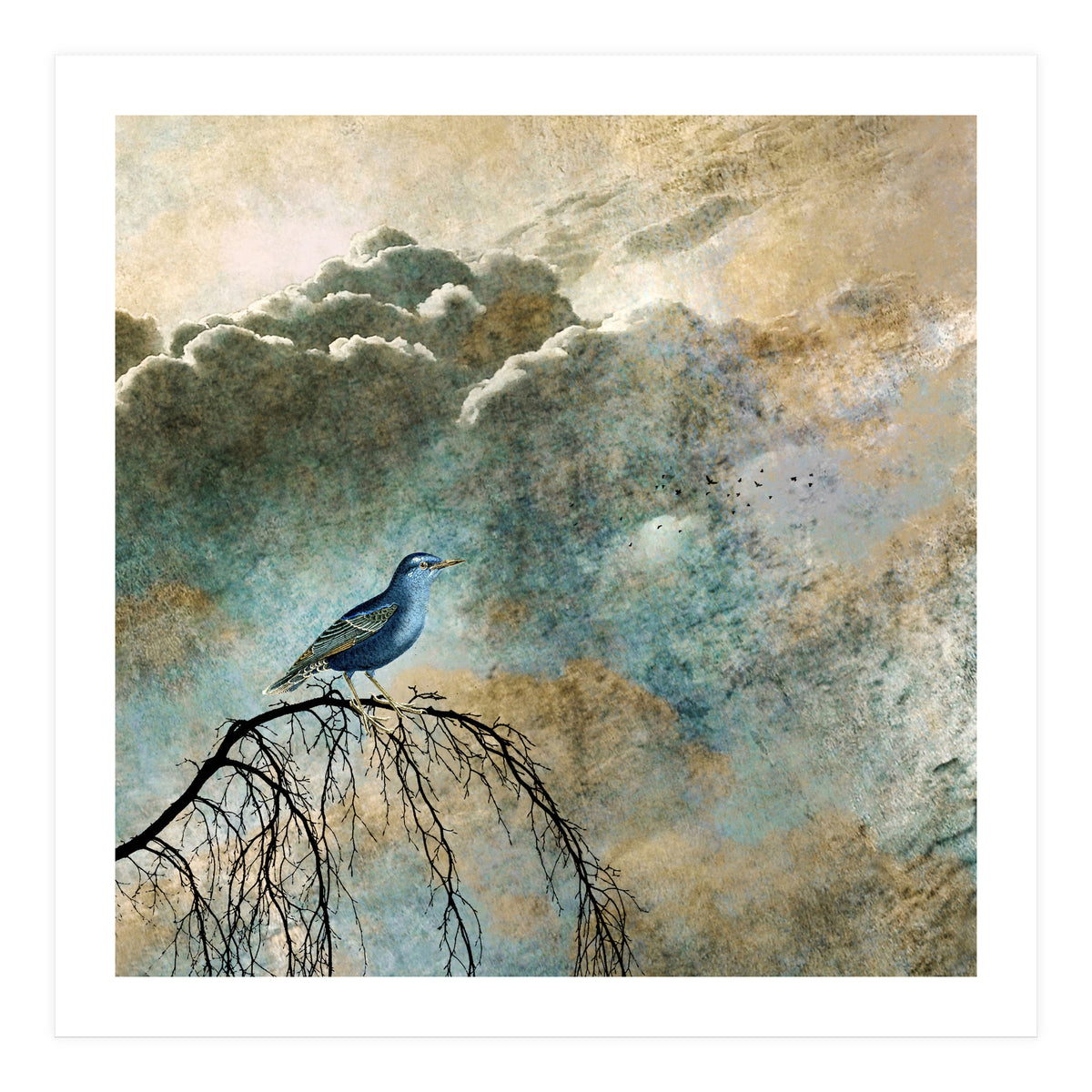 HEAVENLY BIRD IIa (Print Only)