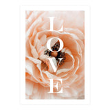 Love (Print Only) thumbnail