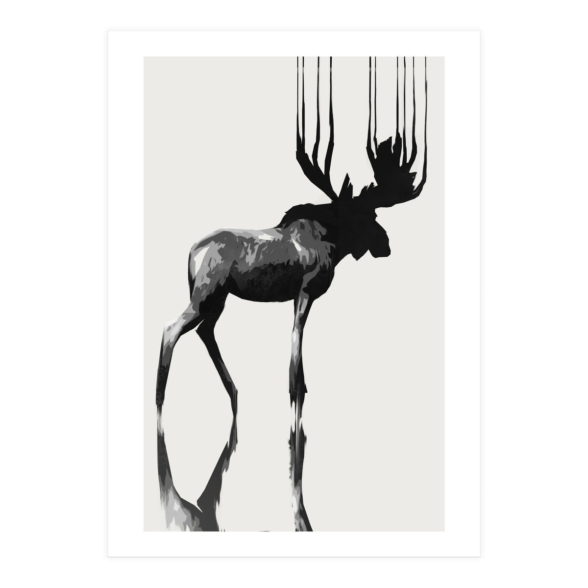 Moose  (Print Only)