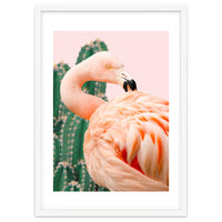 Flamingo & Cactus