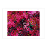 Rose  (Print Only) thumbnail