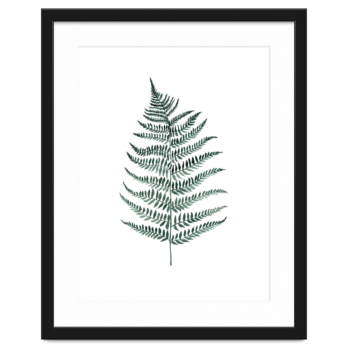 Botanical Illustration Silverfern