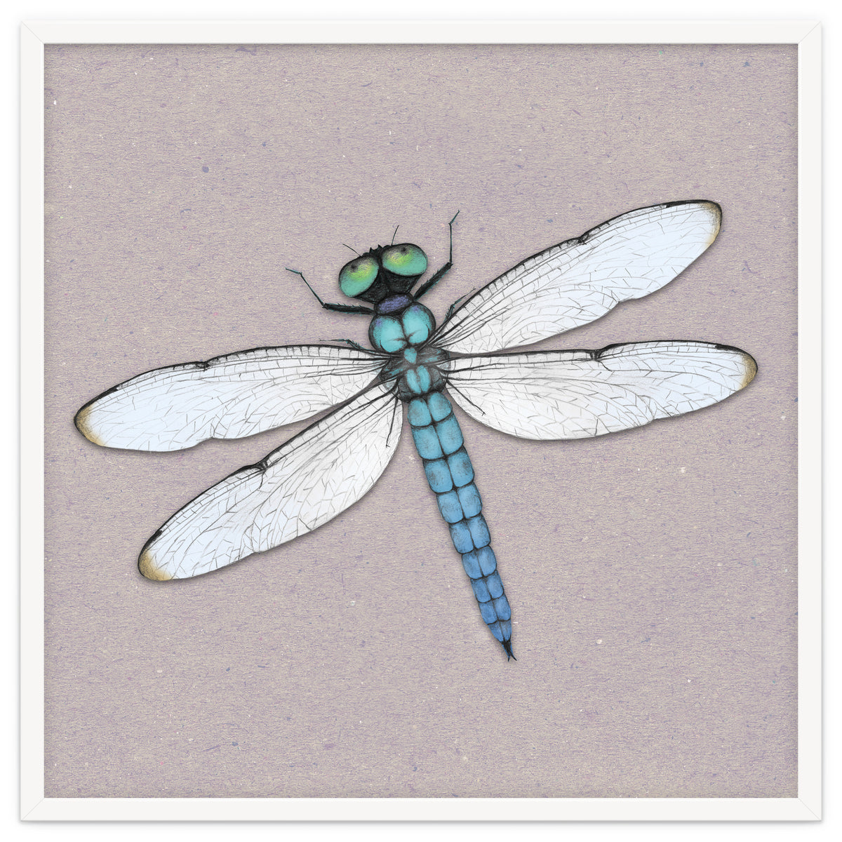 Blue dragonfly
