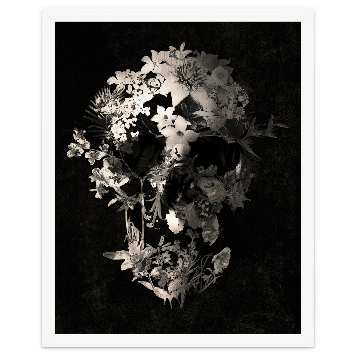 Spring Skull