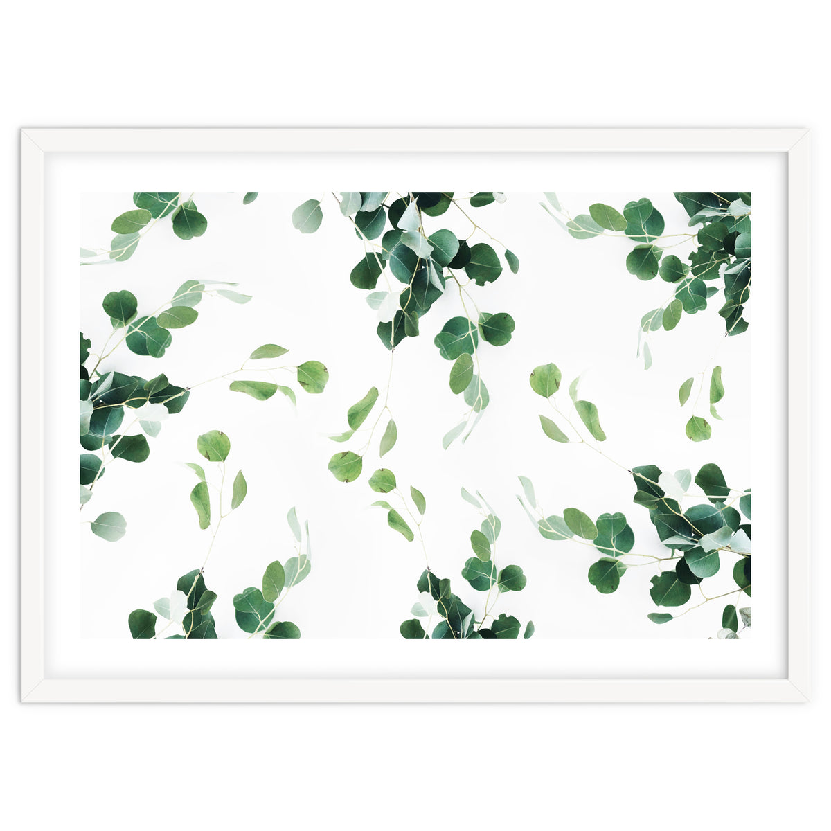 Botanical Celebration