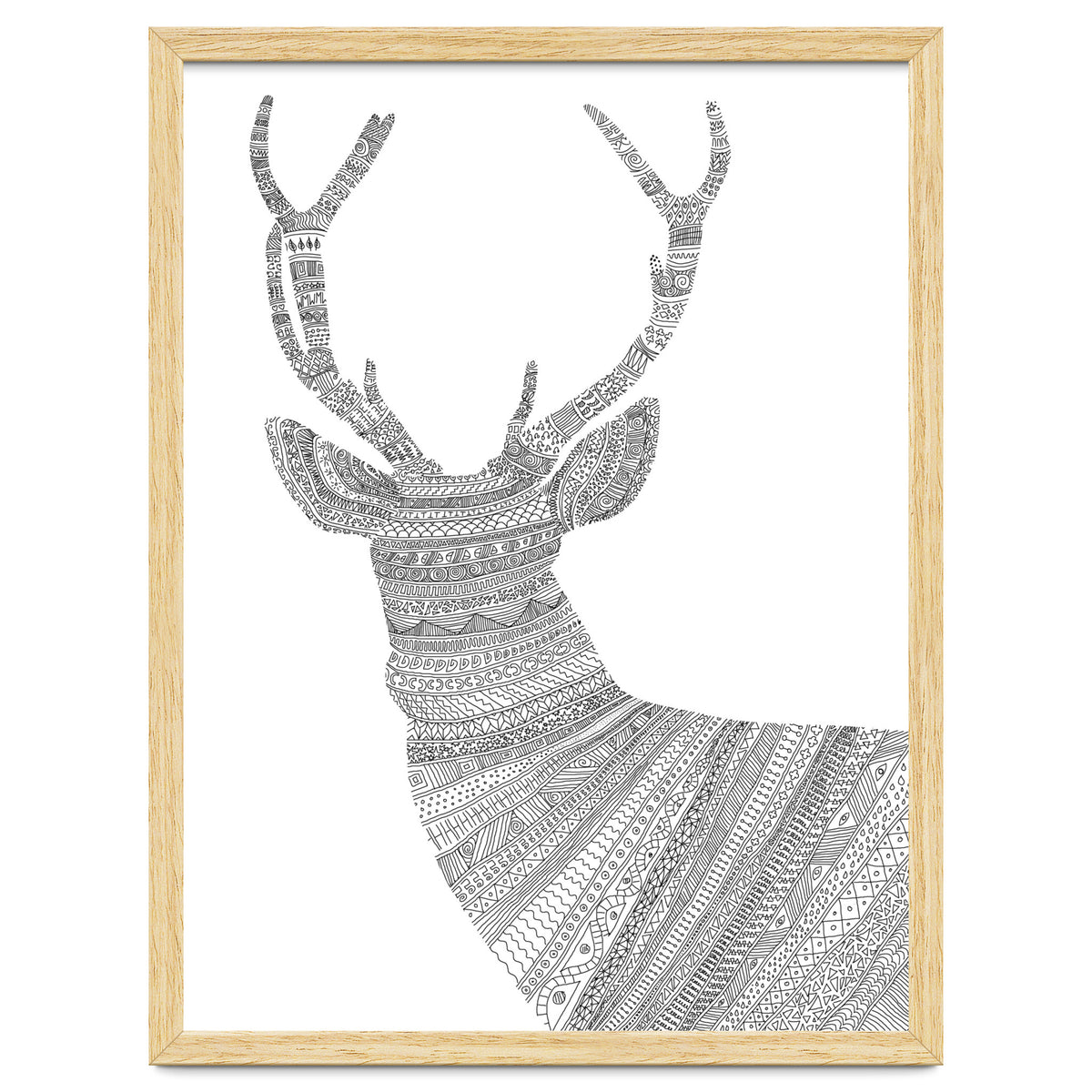 Stag 2