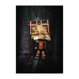 VooDooTooL - Goga (Print Only) thumbnail