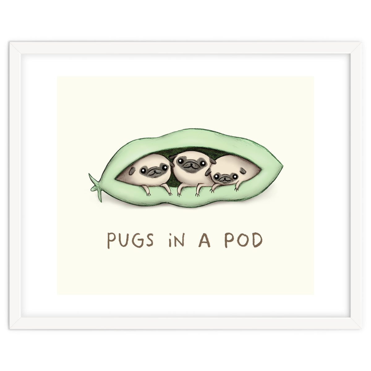 Pugs In A Pod