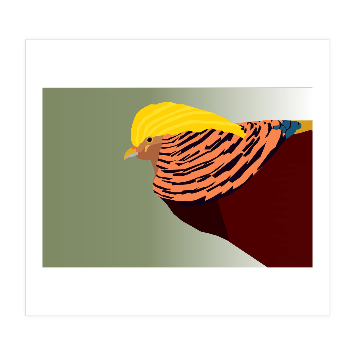 Golden Pheasant Bird Art (Print Only)