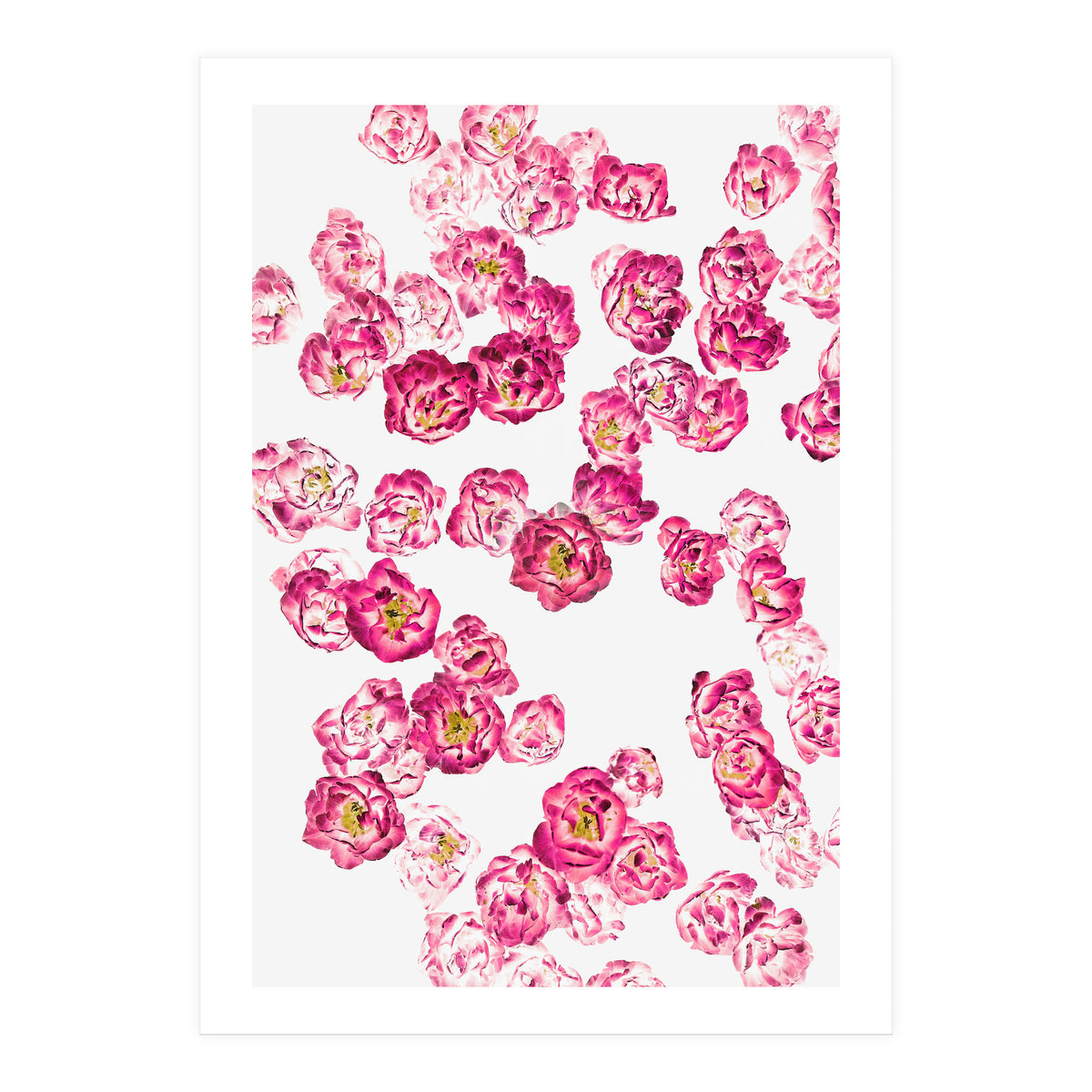 Pink Heaven (Print Only)