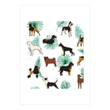 Miracles With Paws (Print Only) thumbnail