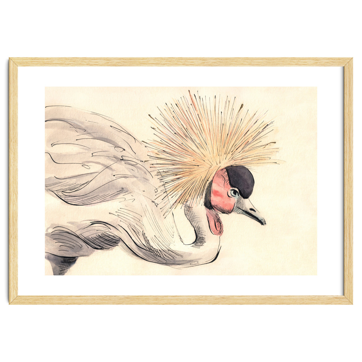 Crowned Crane