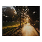 The Panhandle (Print Only) thumbnail