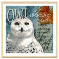 Snow Owl