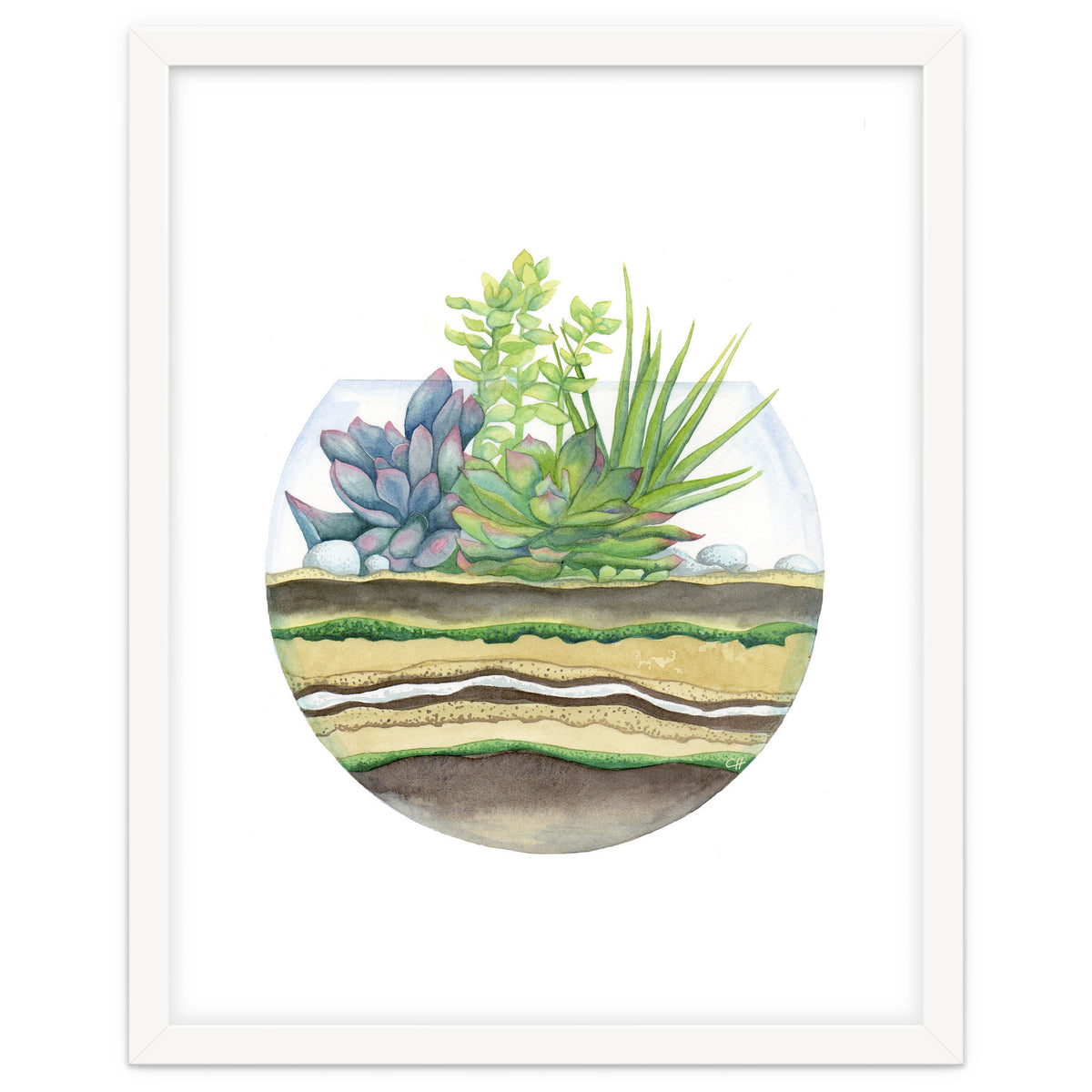 A Little Green Terrarium