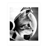 Astrocat (Print Only) thumbnail