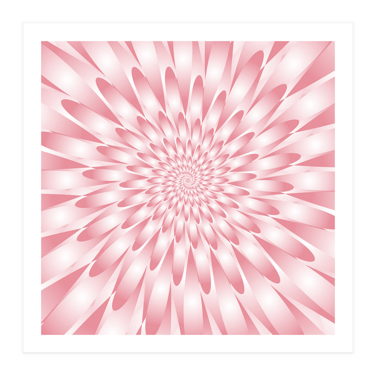 Spiral Pink Flower  (Print Only)