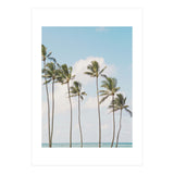 Tropical Palm Trees (Print Only) thumbnail
