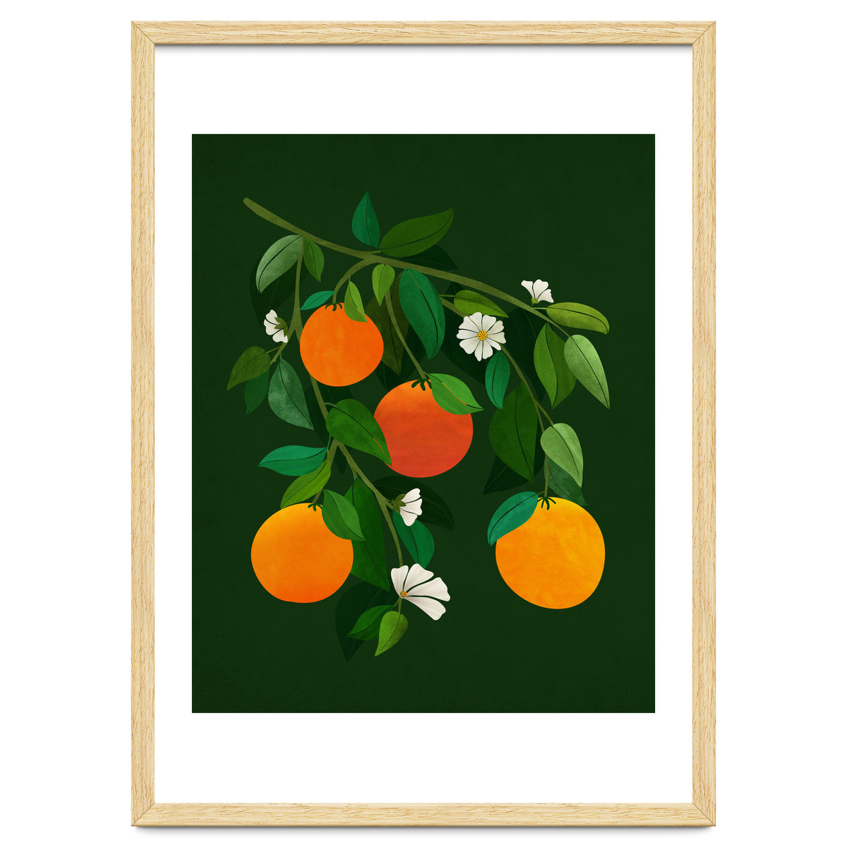 Oranges and Blossoms