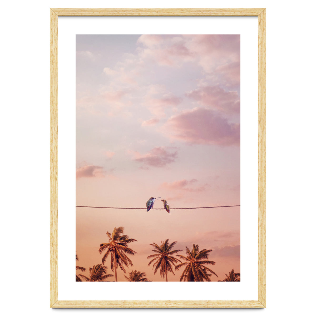 Hummingbirds In Love