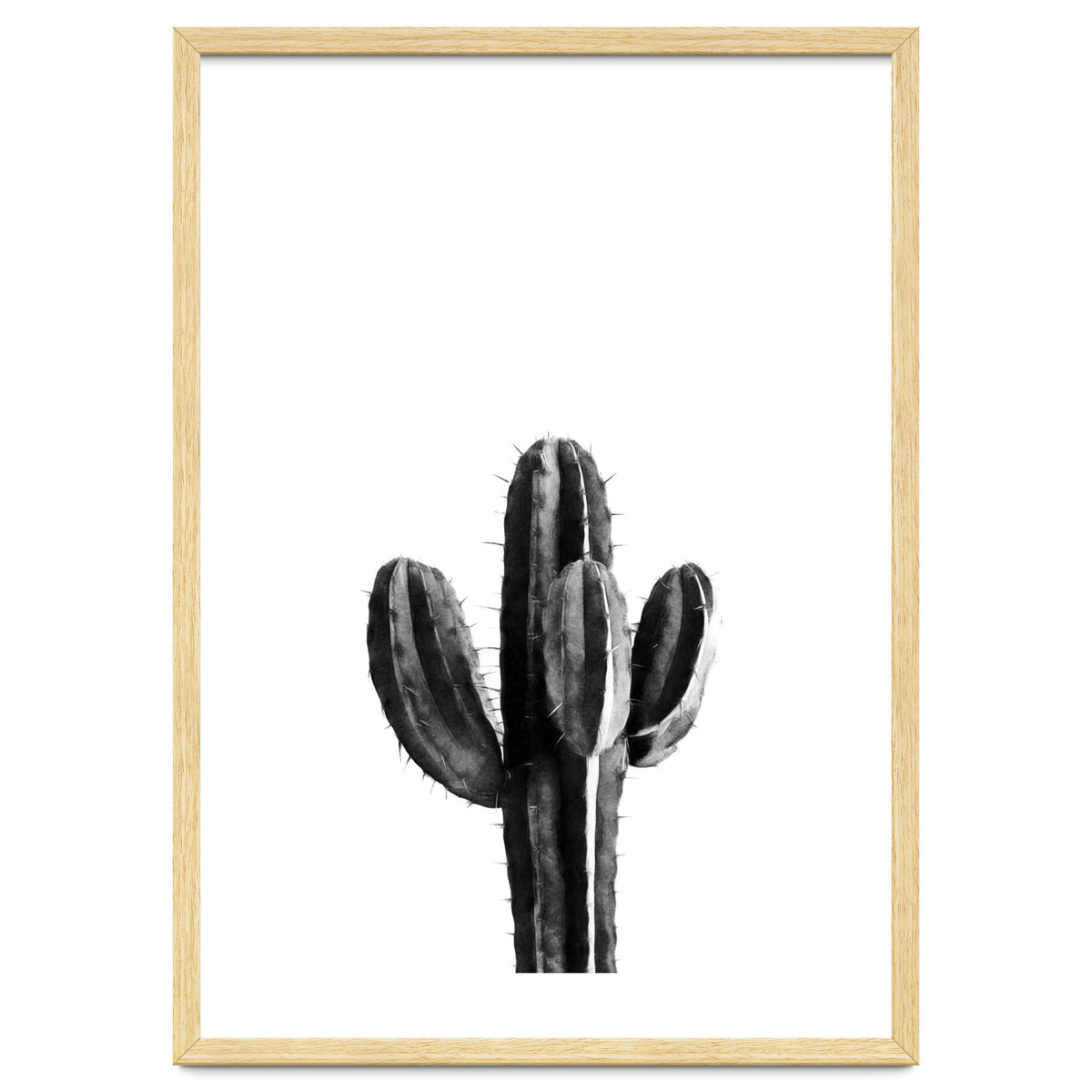 Cactus Black And White 03