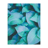 Leaf Me Alone (Print Only) thumbnail