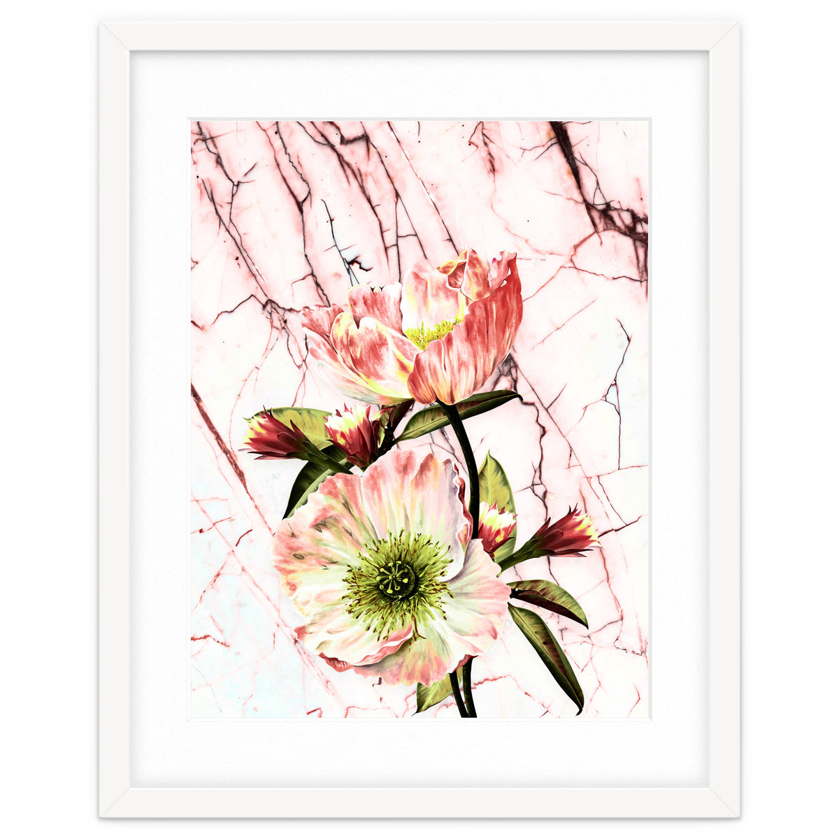 Flowering on pink marble