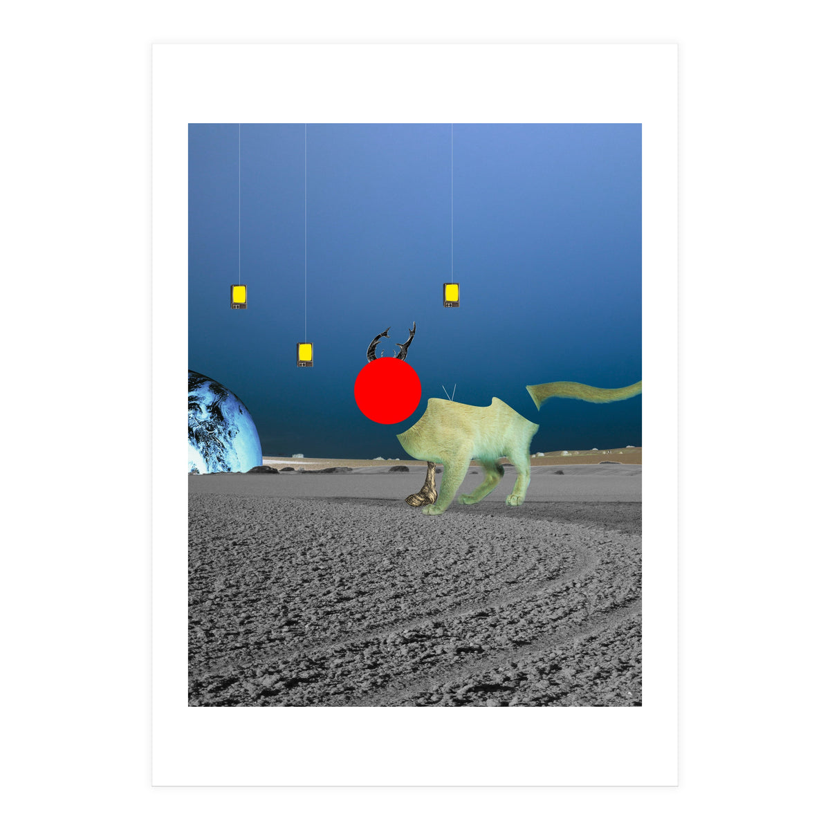 Le Cat? (Print Only)